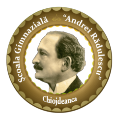 Scoala Andrei Radulescu